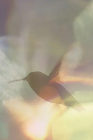 Постер до фільму "Every Little Thing" #198088