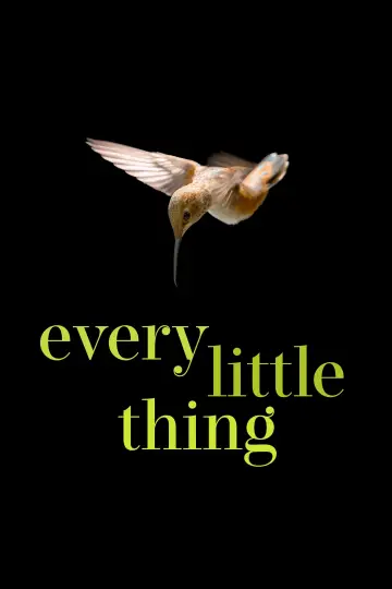 Постер до фільму "Every Little Thing" #791369
