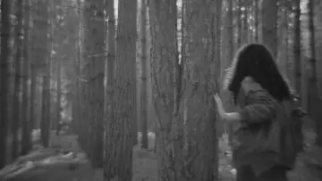 Задник до фільму "Wayfaring Stranger" #789074