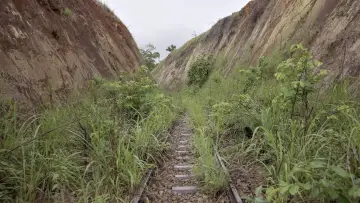 Задник до фильму"Congo-Océan, un chemin de fer et de sang" #470268