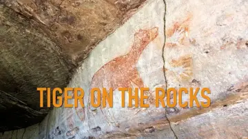 Задник до фильму"Tiger on the Rocks" #200049