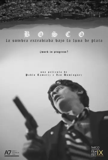 Постер до фильму"Bosco: La Sombra Extraviada Bajo la Luna de Plata" #480678