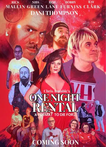One Night Rental постер
