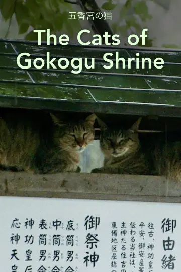 Постер до фільму "五香宮の猫" #757958
