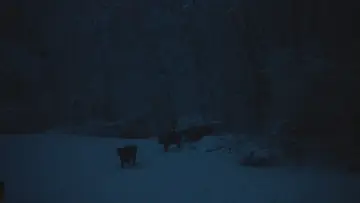 Задник до фільму "The Human Hibernation" #757295