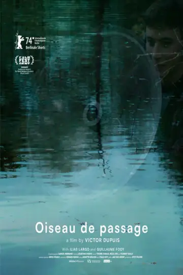 Oiseau de passage
