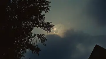 Задник до фильму"Грішники" #908562