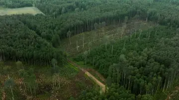 Vara küps постер
