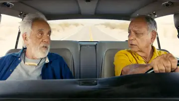 Задник до фільму "Cheech & Chong