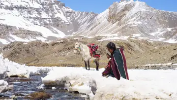 Задник до фильму"༄༅ཤམ་བྷ་ལ།" #368451