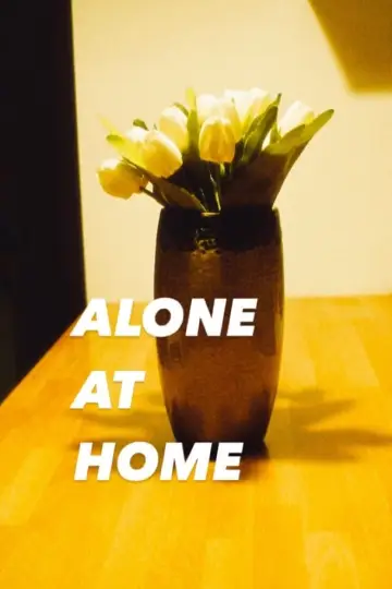 Постер до фильму"Alone at Home" #355297