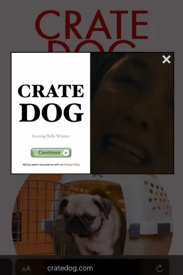 Crate Dog постер