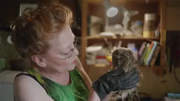 Задник до фільму "Finde Vogel" #353915