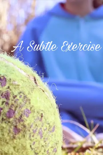A Subtle Exercise постер