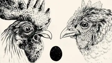 Задник до фильму"De Gallo Qui Ovavit" #1010390