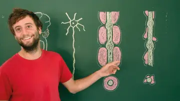 Задник до фільму "Toubib, 12 années dans la vie d