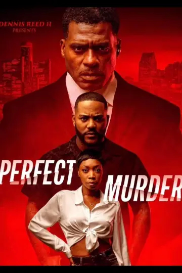 Perfect Murder постер