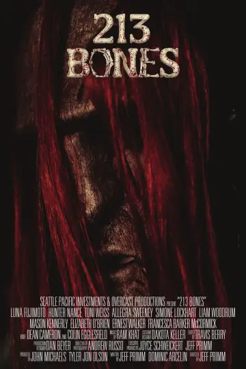 213 Bones постер