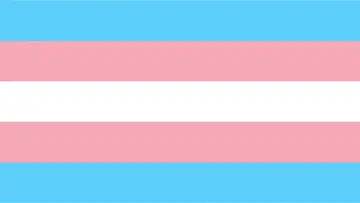 The British Media & Transphobia постер