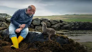 Задник до фильму"Billy & Molly: An Otter Love Story" #1015071