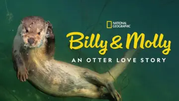 Задник до фильму"Billy & Molly: An Otter Love Story" #1015075