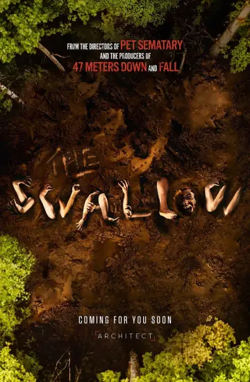 The Swallow постер