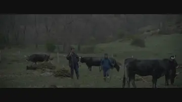 Задник до фильму"El molino" #416391