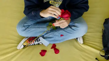 Задник до фильму"Me quiere, no me quiere" #367062