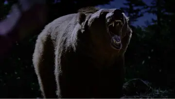 Задник до фильму"Grizzly Night" #516505