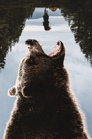 Постер до фильму"Grizzly Night" #516570