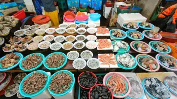 Corée du Sud, leçons de gastronomie постер