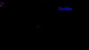 Задник до фильму"Cochilo" #369518