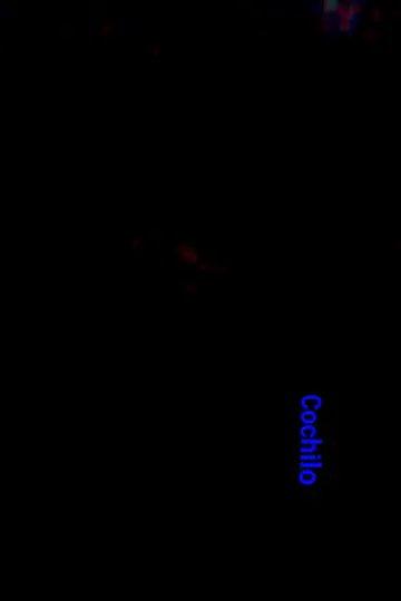 Постер до фильму"Cochilo" #369519