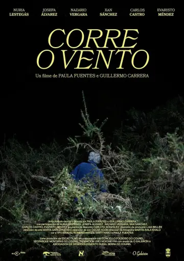 Постер до фильму"Corre o vento" #410148