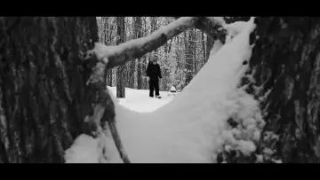 Задник до фильму"Echoes Of Ivory" #467559