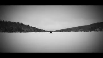 Задник до фильму"Echoes Of Ivory" #467560