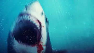 Задник до фильму"Bull Shark 2" #739575