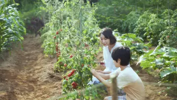 Задник до фильму"かくしごと" #484378