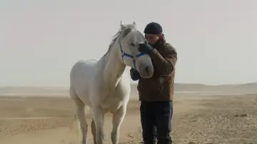 Задник до фильму"一匹白馬的熱夢" #914808