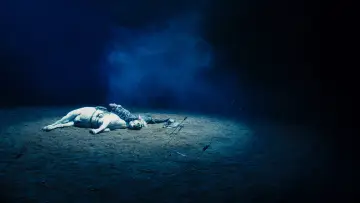 Задник до фильму"一匹白馬的熱夢" #914809