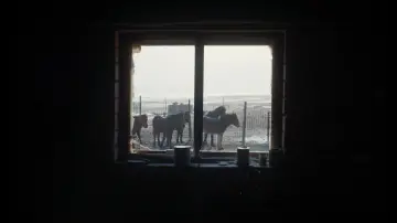 Задник до фильму"一匹白馬的熱夢" #914812