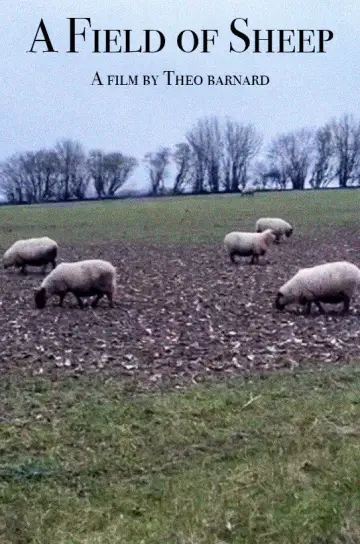 A Field of Sheep постер