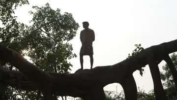 Задник до фильму"பைசன் காளமாடன்" #786322