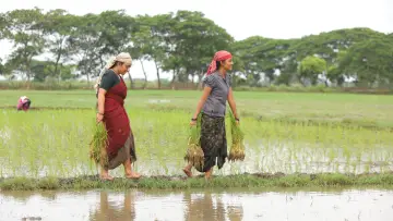 Задник до фильму"பைசன் காளமாடன்" #786333