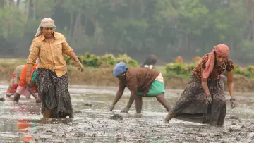 Задник до фильму"பைசன் காளமாடன்" #786348