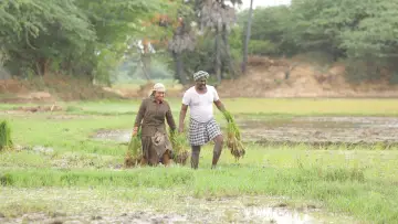Задник до фильму"பைசன் காளமாடன்" #786350
