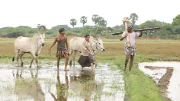 Задник до фильму"பைசன் காளமாடன்" #786354