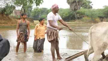Задник до фильму"பைசன் காளமாடன்" #786355
