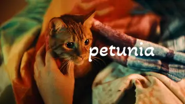 Задник до фильму"Petunia" #883290