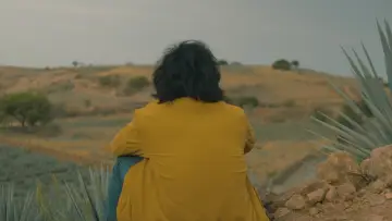Задник до фильму"Agaves al alba" #468591